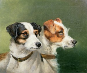 2匹のフォックステリア、1898年
